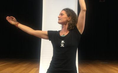 Qi Er Gazing at the Moon