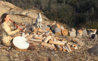 Prayers for the Land