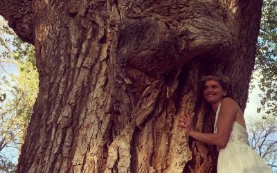 Have you Hugged at Tree today?